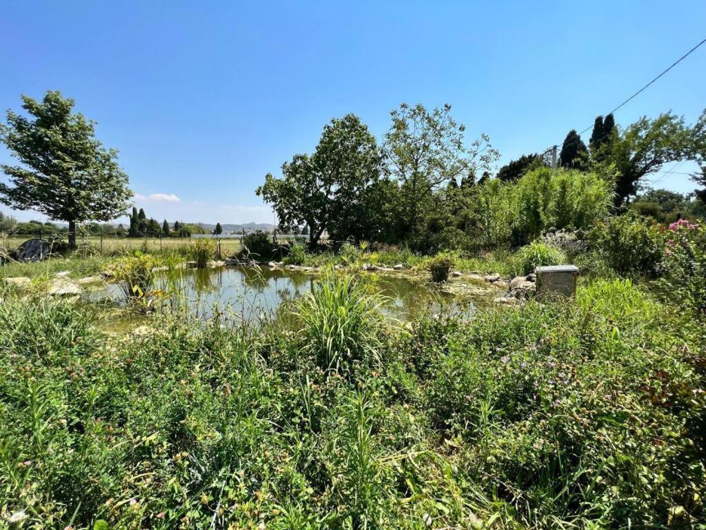 Bastide Des Martelieres Bed & Breakfast Салон дьо Прованс Екстериор снимка